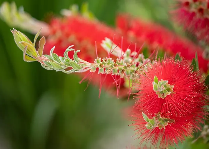 Apartman Due - Beautiful Dobropoljana