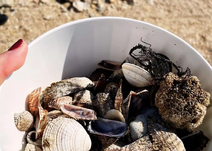 Due - Beautiful Apartman